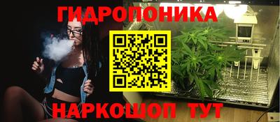 тгк Обь