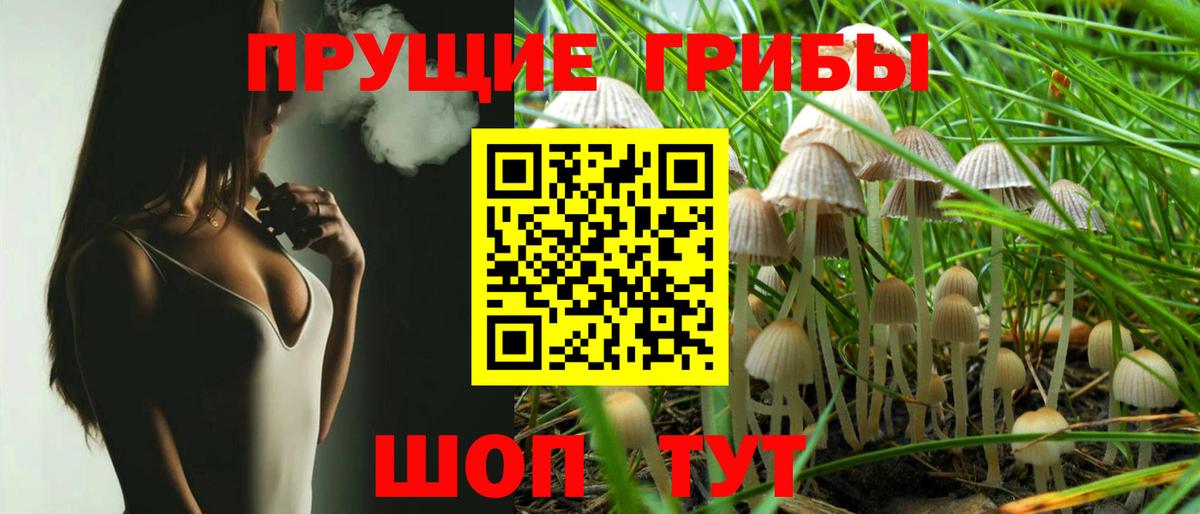 Галлюциногенные грибы Psilocybe Ухта