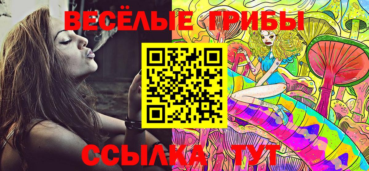 Псилоцибиновые грибы GOLDEN TEACHER  Вход с VPN  Ухта 